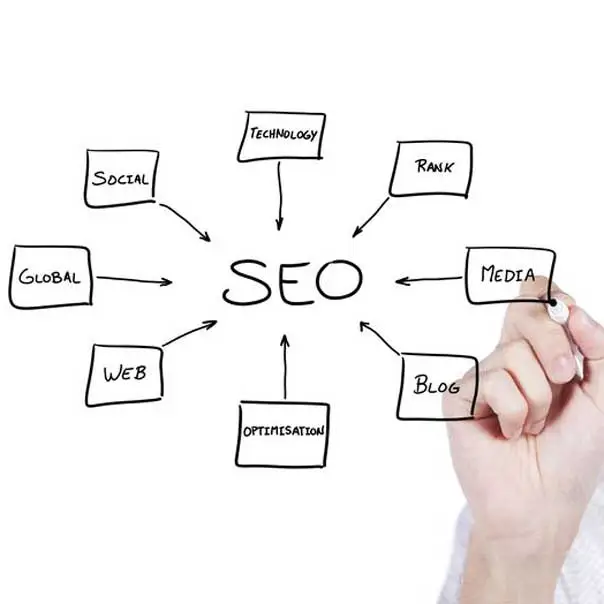 Référencement naturel SEO